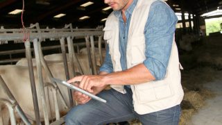 CAP greening penalties to be relaxed for two years