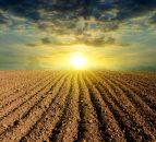 Reflections on a challenging year for farmers