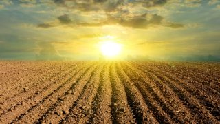 Reflections on a challenging year for farmers