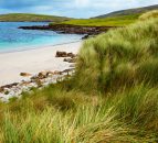 New restrictions for Northern farmers with environmentally sensitive grassland 