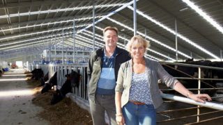 Milking starts on world’s largest robotic dairy farm