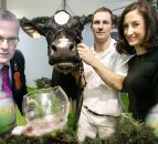 Clean sweep for southern dairy breeders at Winter Fair