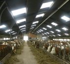 Why some European dairy farmers want supply control in times of crisis