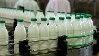 World’s largest milk producer aims to double production