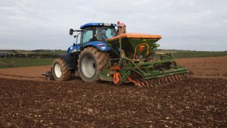 Tillage farmers may have planted more winter barley than ever before
