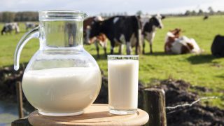 No dairy crisis in dairy sector – EU Commission