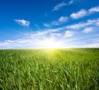 New Zealand government stops Chinese purchase of 33,000ac farm