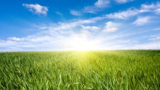 New Zealand government stops Chinese purchase of 33,000ac farm
