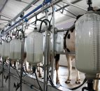 Arrabawn will fight to retain its milk pool