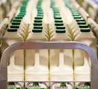 UK milk processor introduces milk 'price floor' at 23p/L