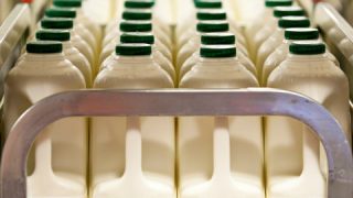 UK milk processor introduces milk ‘price floor’ at 23p/L