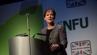 Farmers urged to adapt to consumer needs