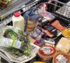 'Primary producers are often the weakest link in the food supply chain'