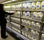 Danone predicts milk price rebound in the second half of 2015