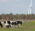 DARD to host on-farm renewable energy event
