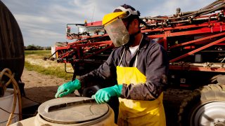 Europe fails to agree on glyphosate extension