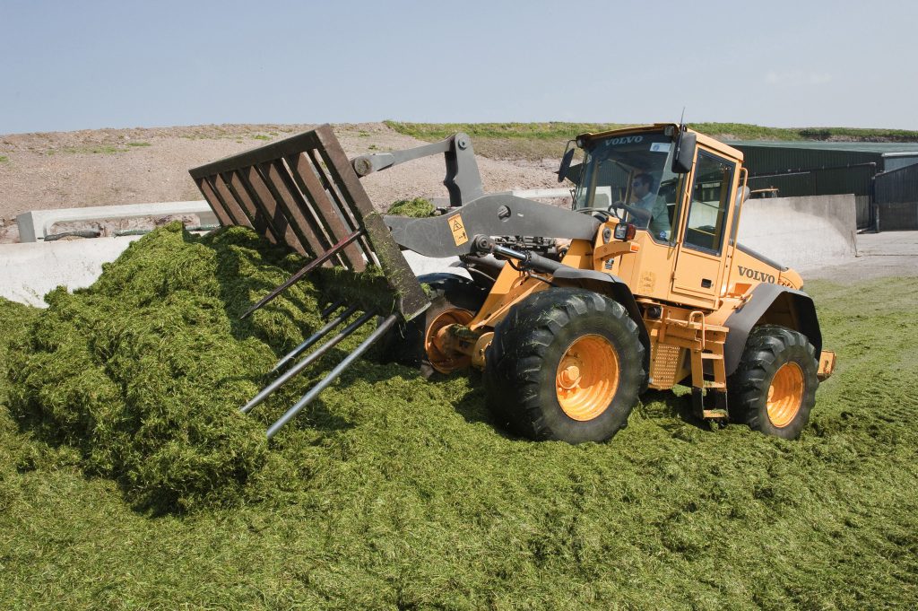 Pay silage