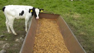 Strikes in Argentina putting upward pressure on soya prices