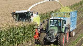 MEPs say no to five new GMO products
