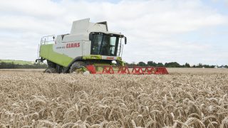 New greening measures will act to reduce EU grain output by 8%