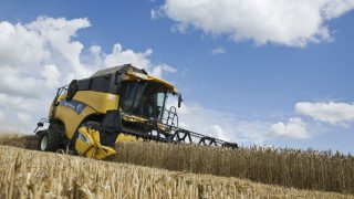 Copa and Cogeca revise EU grain forecasts downwards