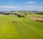 See pictures of a massive 2,900 acre New Zealand farm that's for sale