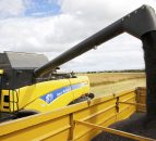 Review of AHDB recommended lists underway