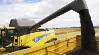 Review of AHDB recommended lists underway