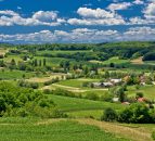 NFU demands action on Countryside Stewardship