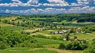 Bridging payments extended to all Countryside Stewardship farmers