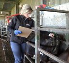 Give your cows the best possible chance of going back in calf