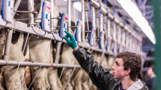 Voluntary Milk Reduction Scheme will not be made mandatory – Hogan