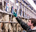 No point crying over spilt milk - quotas are gone and opportunity knocks