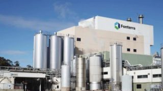 New Zealand dairy farming threatened with ‘Eco-terrorism’