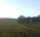 3,000 NI farmers sign up for soil sampling scheme