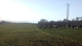 3,000 NI farmers sign up for soil sampling scheme