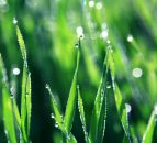 Upcoming seminar a must for those interested in grass measuring