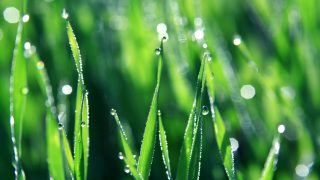 Upcoming seminar a must for those interested in grass measuring