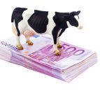 Global Dairy Trade auction up again