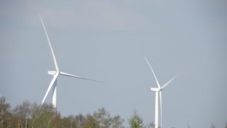€64m Cork wind farm to generate power for 17,000 homes annually