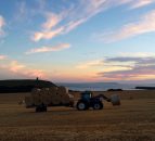 Is this the most photogenic farm on the internet? Instagram followers think so!