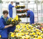 Agricultural college to hold open day for upcoming courses