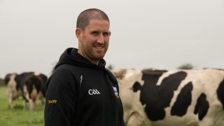 Herd health key as Waterford dairy farmers double cow numbers