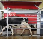 Lely milking robots to join the machinery lineup in Farming Simulator