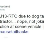 Barking mad: dog crashes tractor it's driving!