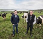 Top Donegal and Westmeath dairy farmers to hold farm efficiency events