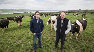 Top Donegal and Westmeath dairy farmers to hold farm efficiency events