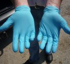 Gloves-looking after your cows and hands - AHI