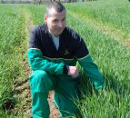 Broadleaf weeds remain a challenge on Co. Derry tillage farm