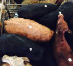 Irish/UK beef price gap narrows to 45p/kg